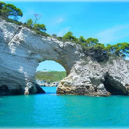 Mare Gargano Lido Del Sole Holiday home *